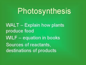 Photosynthesis WALT Explain how plants produce food WILF