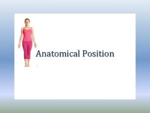Anatomical Position What is it The anatomical position