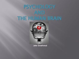 PSYCHOLOGY AND THE HUMAN BRAIN Jake Swartwout Lobes