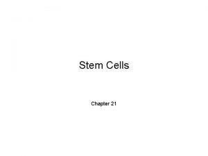 Stem Cells Chapter 21 What are stem cells