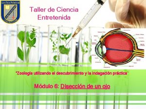 Taller de Ciencia Entretenida Zoologa utilizando el descubrimiento