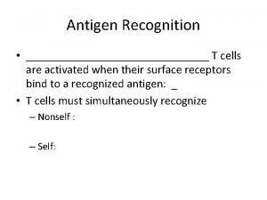 Antigen Recognition T cells are activated when their