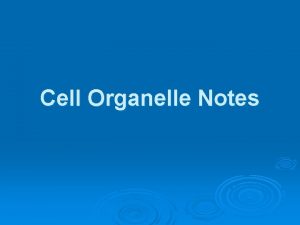 Cell Organelle Notes Cell Wall Found in plants