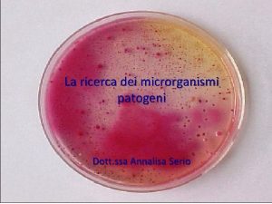 La ricerca dei microrganismi patogeni Dott ssa Annalisa