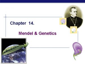 Chapter 14 Mendel Genetics Gregor Mendel Modern genetics