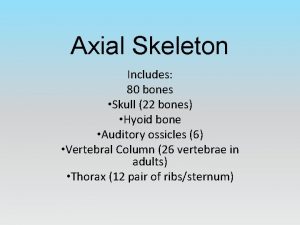 Axial Skeleton Includes 80 bones Skull 22 bones