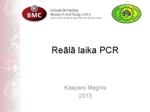 Rel laika PCR Kaspars Megnis 2013 PCR Interesjo