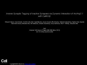 Inverse Synaptic Tagging of Inactive Synapses via Dynamic