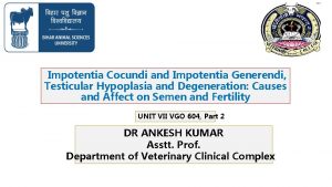 Impotentia Cocundi and Impotentia Generendi Testicular Hypoplasia and