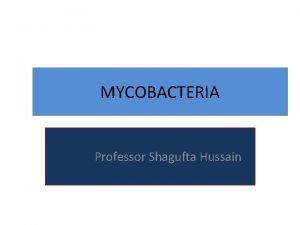 MYCOBACTERIA Professor Shagufta Hussain Mycobacterium rodshaped aerobic bacteria