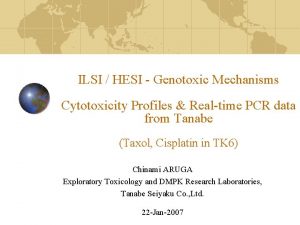 ILSI HESI Genotoxic Mechanisms Cytotoxicity Profiles Realtime PCR