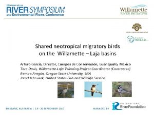 Shared neotropical migratory birds on the Willamette Laja