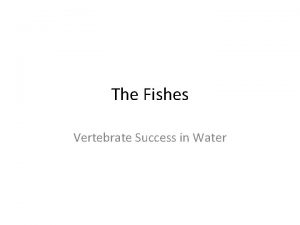 The Fishes Vertebrate Success in Water Evolutionary Perspective