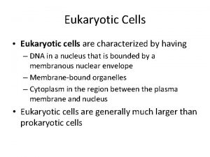 Eukaryotic Cells Eukaryotic cells are characterized by having