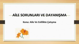 ALE SORUNLARI VE DAYANIMA Konu Aile Ve Evlilikte