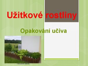 Uitkov rostliny Opakovn uiva Foto archiv autorky V