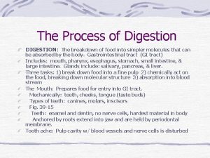 The Process of Digestion DIGESTION The breakdown of