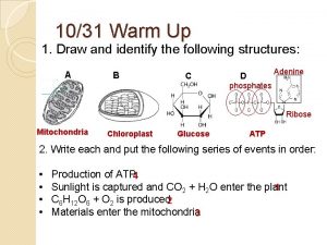 1031 Warm Up 1 Draw and identify the
