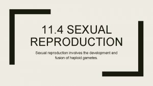 11 4 SEXUAL REPRODUCTION Sexual reproduction involves the