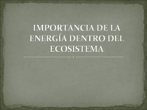 IMPORTANCIA DE LA ENERGA DENTRO DEL ECOSISTEMA IMPORTANCIA