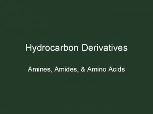 Hydrocarbon Derivatives Amines Amides Amino Acids Amines Contain