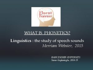 WHAT IS PHONETICS Linguistics the study of speech