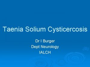 Taenia Solium Cysticercosis Dr I Burger Dept Neurology