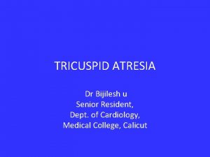 TRICUSPID ATRESIA Dr Bijilesh u Senior Resident Dept