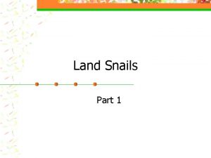 Land Snails Part 1 Daily Objective Snails have