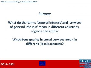TQS Faenza workshop 5 6 November 2009 Survey