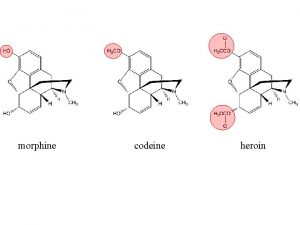 morphine codeine heroin Ibuprofen R form nonactive side