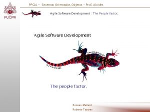 PPGIA Sistemas Orientados Objetos Prof Alcides Agile Software
