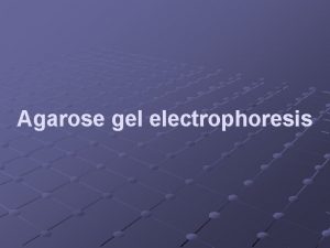 Agarose gel electrophoresis Agarose gel electrophoresis is an
