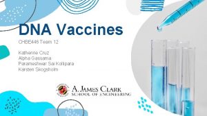 DNA Vaccines CHBE 446 Team 12 Katherine Cruz