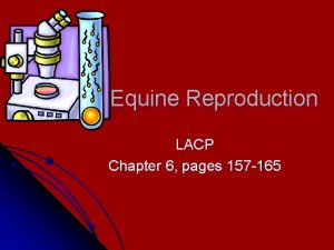 Equine Reproduction LACP Chapter 6 pages 157 165