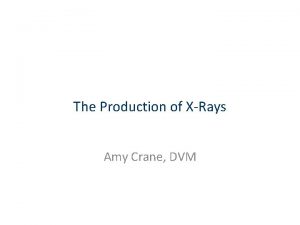 The Production of XRays Amy Crane DVM In