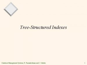 TreeStructured Indexes Database Management Systems R Ramakrishnan and