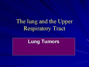 The lung and the Upper Respiratory Tract Lung
