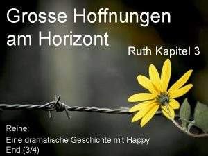 Grosse Hoffnungen am Horizont Ruth Kapitel 3 Reihe