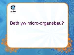 Beth yw microorganebau Microbau Organebau un gell yw
