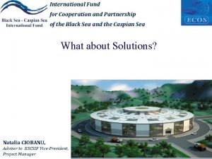 International Fund for Cooperation and Partnership of the