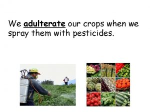 We adulterate our crops when we spray them