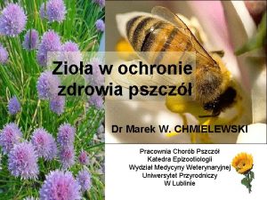 Zioa w ochronie zdrowia pszcz Dr Marek W