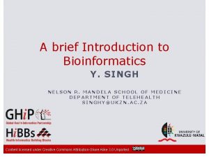 A brief Introduction to Bioinformatics Y SINGH NELSON