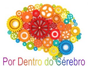 O Crebro Pelo neurocirurgio Paulo Niemeyer Filho Pergunta