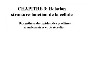 CHAPITRE 3 Relation structurefonction de la cellule Biosynthse
