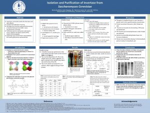 Isolation and Purification of Invertase from Saccharomyces Cerevisiae