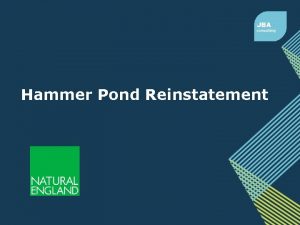 Hammer Pond Reinstatement Contents Scheme objectives Overview plan