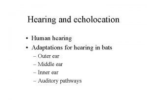Hearing and echolocation Human hearing Adaptations for hearing