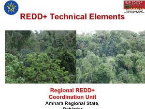 REDD Technical Elements Regional REDD Coordination Unit Amhara